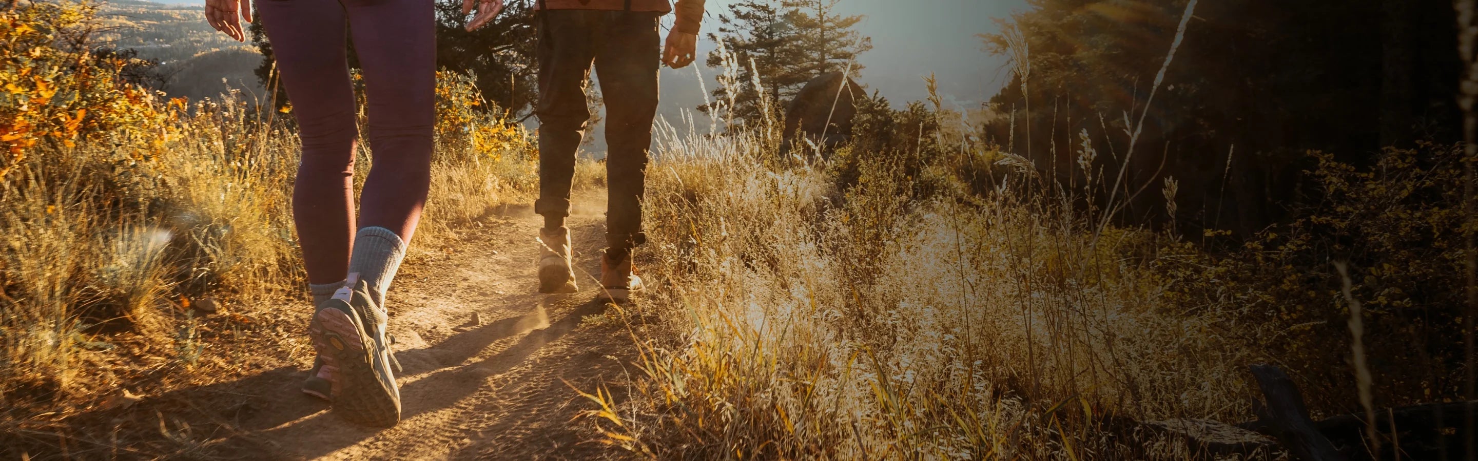 Hikers walking along a mountain trail
